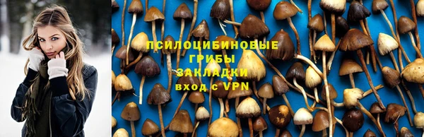 крисы Алексин