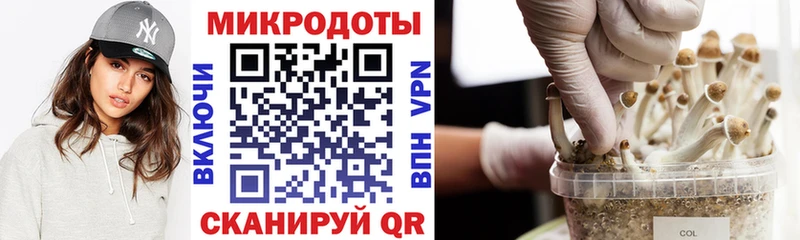 купить наркоту Сенгилей Галлюциногенные грибы Magic Shrooms